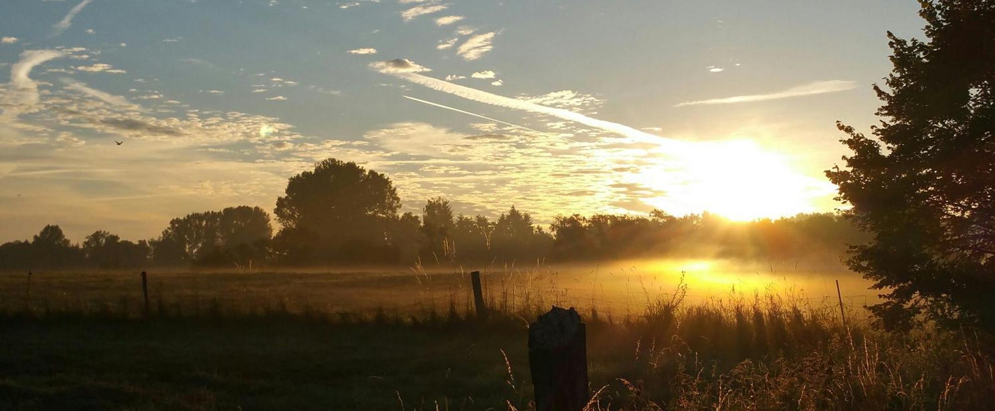 Ferienwohnung Am Betzelhuebel Ottweiler Bagian luar foto